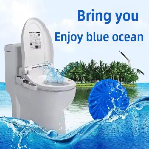 Toilet cleaner